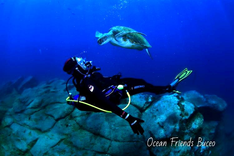 Buceo con tortuga en Tenerife